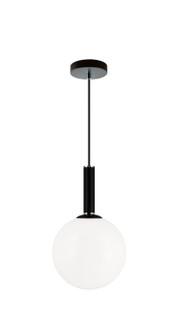 Stellar One Light Pendant in Black (423|C75311BKOP)
