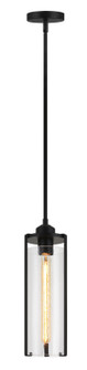 Bayou One Light Pendant in Black (423|C62201BK)