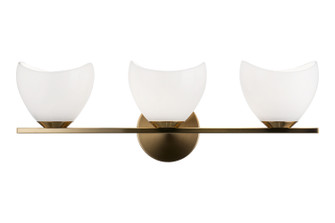 Uptowne Three Light Vanity in Aged Gold Brass (423|S04203AGOP)