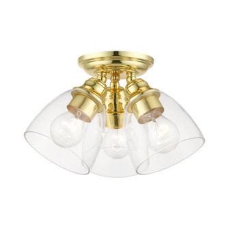 Montgomery Three Light Semi-Flush Mount in Polished Brass (107|46339-02)