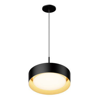 Echo LED Pendant in Black / Gold (86|E51011-BKGLD)