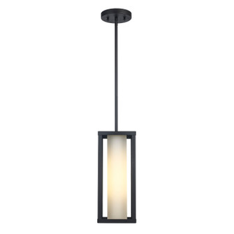 Adler One Light Outdoor Hanging Lantern in Black (110|51464 BK)