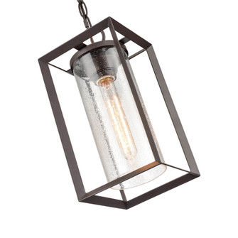 Wheatland One Light Outdoor Hanging Lantern in Powder Coated Bronze (59|4571-PBZ)