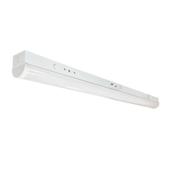 LED Tunable Strip Light in White (167|NLSTR-4L1334W/EMMS)