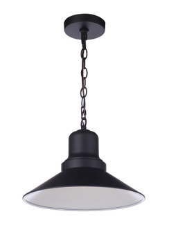 Singleton One Light Outdoor Pendant in Midnight (46|ZA5411-MN)