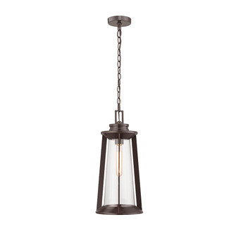 Bolling One Light Outdoor Hanging Lantern in Powder Coated Bronze (59|8204-PBZ)