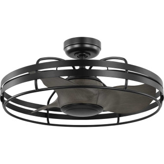 Bastrop 26''Ceiling Fan in Matte Black (54|P250096-31M)