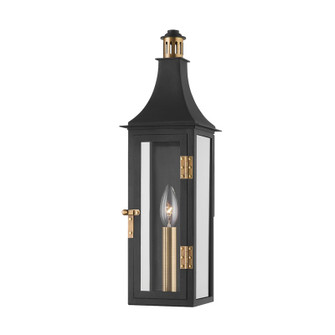 Wes One Light Outdoor Wall Sconce in Patina Brass (67|B7819-PBR/TBK)
