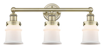 Edison Three Light Bath Vanity in Antique Brass (405|616-3W-AB-G181S)