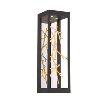 Aerie LED Wall Sconce in Black and Gold (40|45699-016)