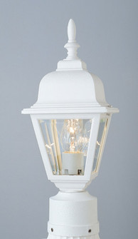 Argyle One Light Postmount Lantern in White (110|4414 WH)