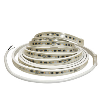 Sl LED Tape Light LED Tape Light in White (167|NUTP13-W67-12-930/HW)