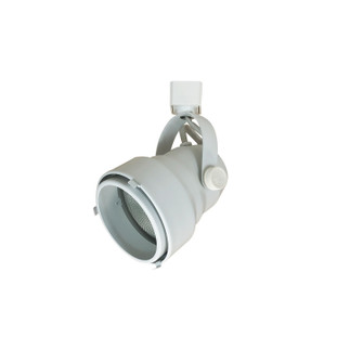 Line Voltage Track Shroud Par30 in White (167|NTH-149W)