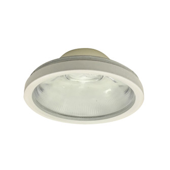 Rec LED Cobalt 5'' Adj Ret Recessed in White (167|NLCBC-569TIR15WW)