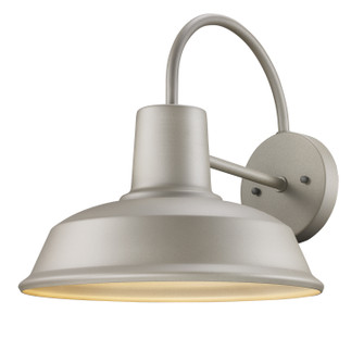 One Light Outdoor Wall Mount in Silver (110|50330 SL)