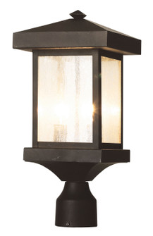 Santa Cruz Two Light Postmount Lantern in Weathered Bronze (110|45644 WB)