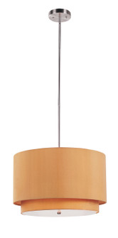 Schiffer Three Light Pendant in Brushed Nickel (110|PND-802 MST)