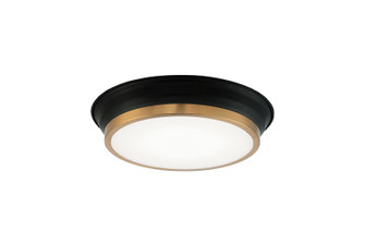 Jaxx One Light Ceiling Mount in Black / Aged Gold Brass (423|M11201BKAG)