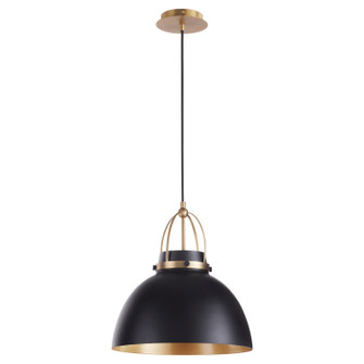 Picture Lights One Light Pendant in Matte Black w/ Aged Brass (19|823-5980)