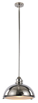 Performance One Light Pendant in Brushed Nickel (110|PND-1006 PN)