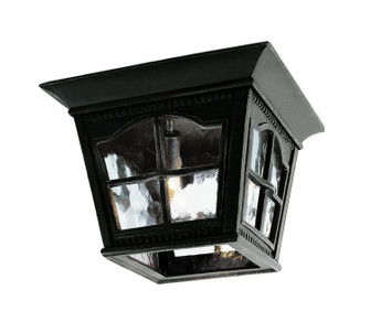 Briarwood Three Light Flushmount Lantern in Black (110|5427 BK)