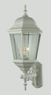 Classical Three Light Wall Lantern in White (110|51000 WH)