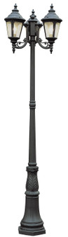 Commons Three Light Pole Light in Black (110|5048 BK)