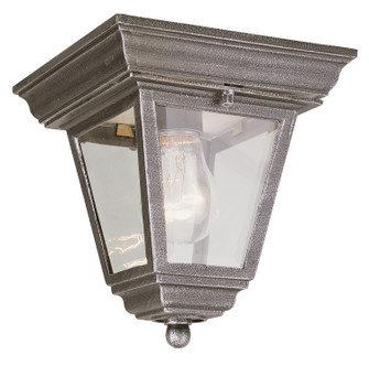 Robertson One Light Flushmount Lantern in Rust (110|4903 RT)