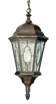 Villa Nueva One Light Hanging Lantern in Black Bronze (110|4717 BRZ)