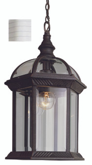 Wentworth One Light Hanging Lantern in White (110|4183 WH)