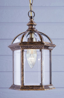 Wentworth One Light Hanging Lantern in Black Gold (110|4183 BG)