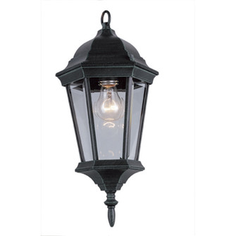 San Rafael One Light Hanging Lantern in Black Gold (110|4097 BG)