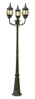 Parkway Three Light Pole Light in Black Copper (110|4090 BC)