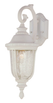 Chessie One Light Wall Lantern in White (110|4020 WH)