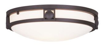 Titania Two Light Ceiling Mount in Bronze (107|4487-07)