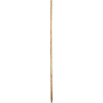 48 in. Downrods Downrod in Aged Silver Leaf (19|6-4860)