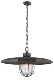 Acme One Light Pendant in Aged Pewter (67|F3898-APW)