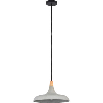 Pendants - Metal Shade (443|LPC4331)