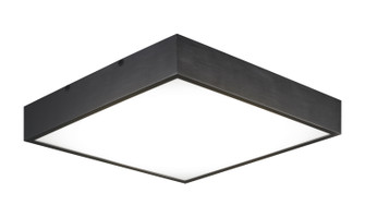 Kashi LED Flush Mount in Oxidized Black (423|M13411OB)