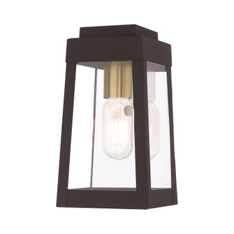 Oslo One Light Outdoor Wall Lantern in Bronze w/ Antique Brass and Polished Chrome Stainless Steel (107|20851-07)