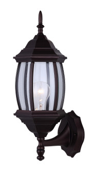 Outdoor One Light Outdoor Lantern in Oil Rubbed Bronze (387|IOL73T13)