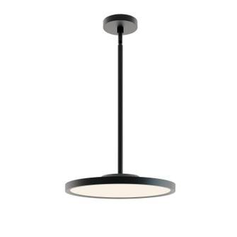 Edge Round Large LED Pendant in Black (162|EGRP16LAJD1BK)