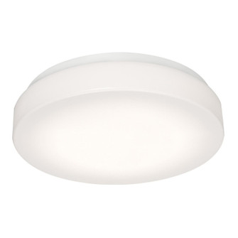 Cirrus LED Flush Mount in White (162|C2F111600L5AJD1)