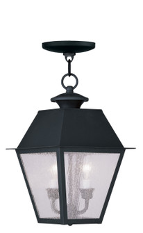 Mansfield Two Light Outdoor Pendant in Black (107|2167-04)