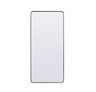 Evermore Mirror in Silver (173|MR80FL3272S)