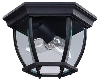 Foyer Two Light Outdoor Lantern in Black (387|IOL60BK)