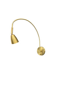 Arch LED Library Light in Natural Brass (30|DAALEDL-NTB)