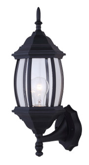 Outdoor One Light Outdoor Lantern in Black (387|IOL73T10)