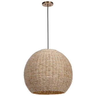 Seagrass One Light Pendant in Antique Brass (52|21536)