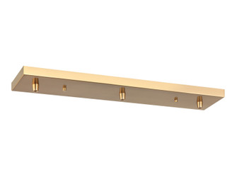 Multi Ceiling Canopy (Line Voltage) Multi Ceiling Canopy in Aged Gold Brass (423|CP0203AG)